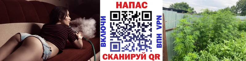 купить закладку  кракен зеркало  Бошки марихуана гибрид  Катав-Ивановск 